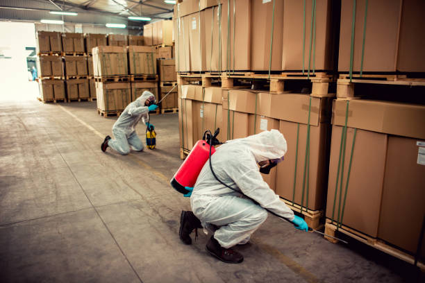 Wasp Removal Services in Moorhead, MN