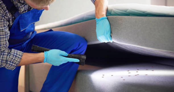 Reliable Moorhead, MN Pest Control Solutions