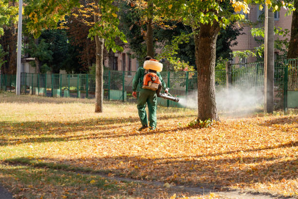 Best Emergency Pest Control  in Moorhead, MN