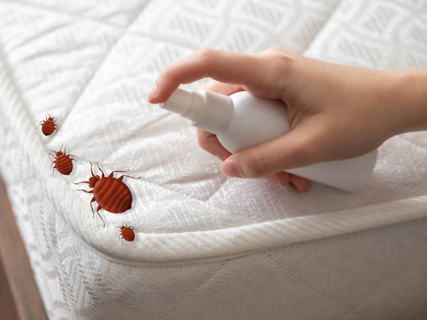 Best Pest Inspection Near Me  in Moorhead, MN