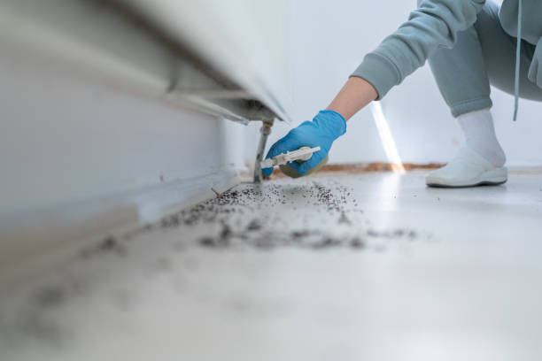 Insect Control in Moorhead, MN